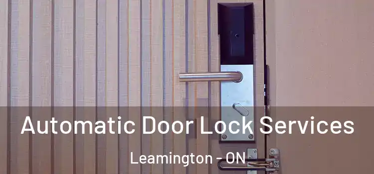 Automatic Door Lock Services Leamington - ON