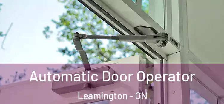 Automatic Door Operator Leamington - ON