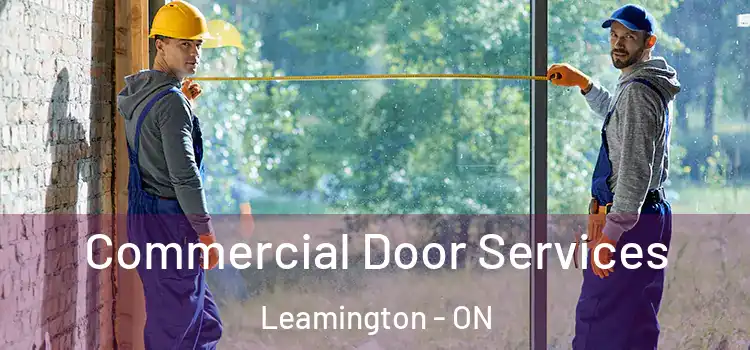 Commercial Door Services Leamington - ON