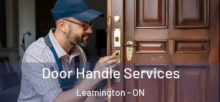  Door Handle Services Leamington - ON