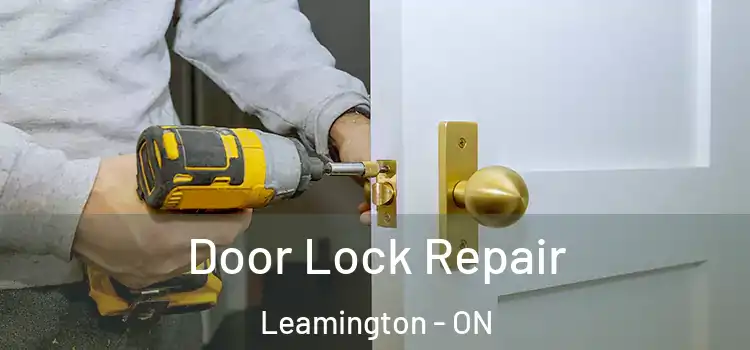 Door Lock Repair Leamington - ON