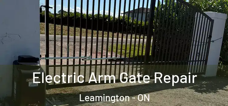 Electric Arm Gate Repair Leamington - ON