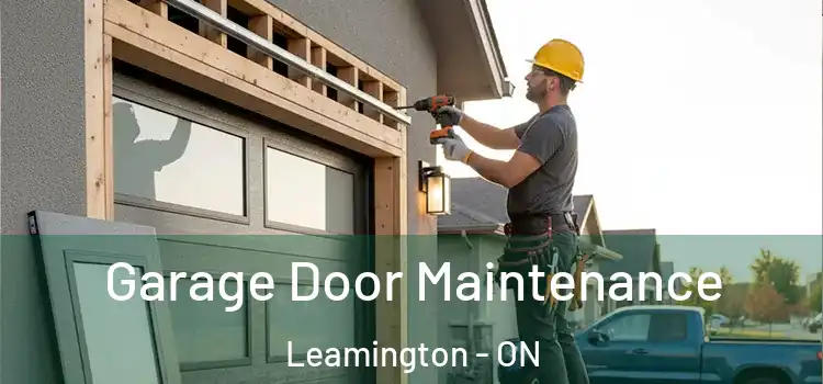 Garage Door Maintenance Leamington - ON