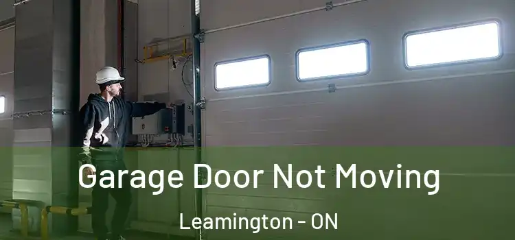  Garage Door Not Moving Leamington - ON
