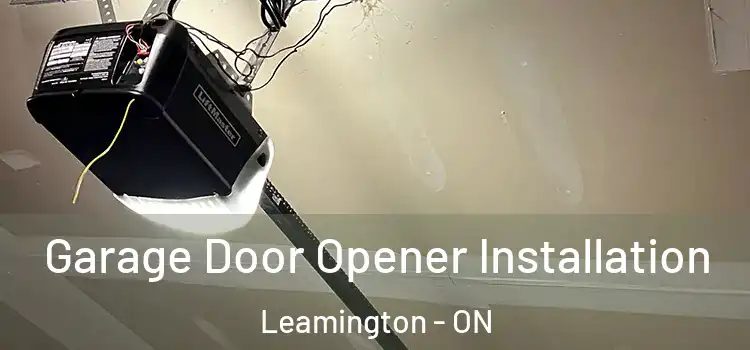  Garage Door Opener Installation Leamington - ON