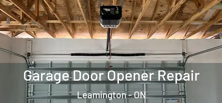 Garage Door Opener Repair Leamington - ON