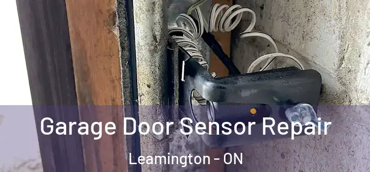 Garage Door Sensor Repair Leamington - ON