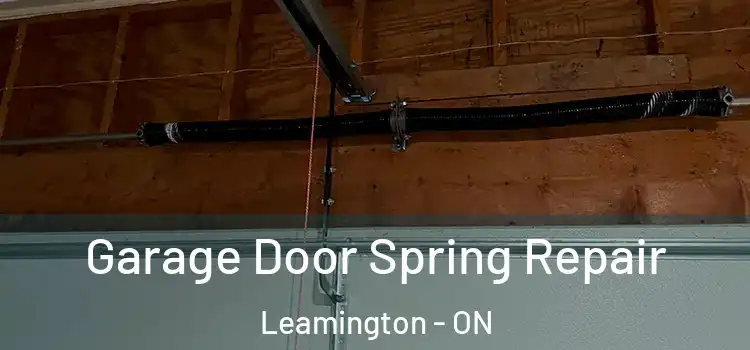  Garage Door Spring Repair Leamington - ON