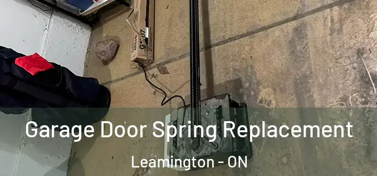  Garage Door Spring Replacement Leamington - ON