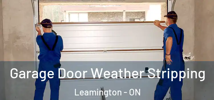  Garage Door Weather Stripping Leamington - ON
