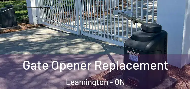 Gate Opener Replacement Leamington - ON