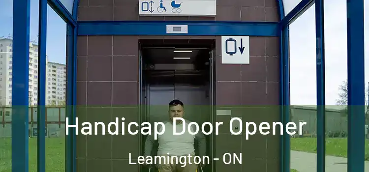 Handicap Door Opener Leamington - ON