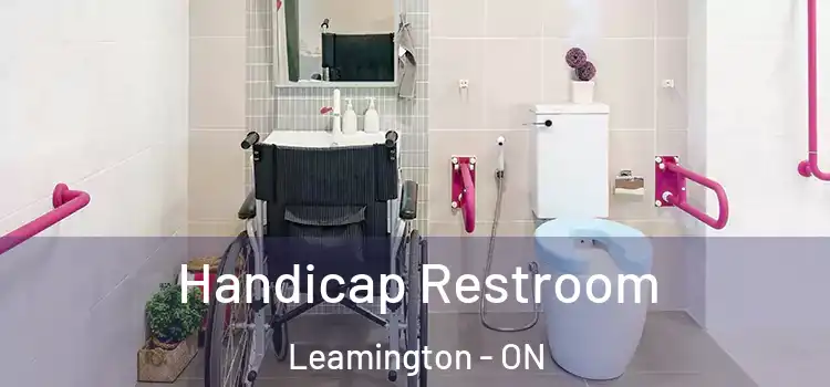  Handicap Restroom Leamington - ON