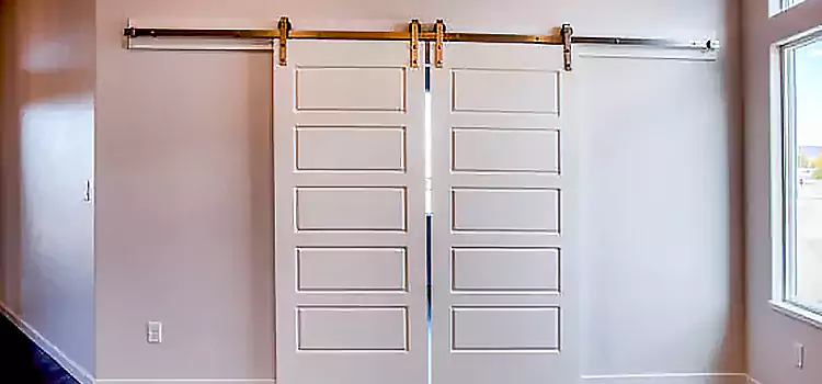 Glass Barn Door with Installation Hardware Kit Leamington