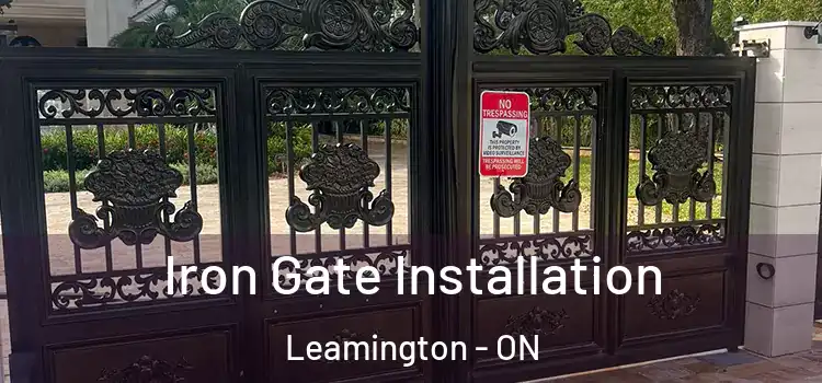 Iron Gate Installation Leamington - ON