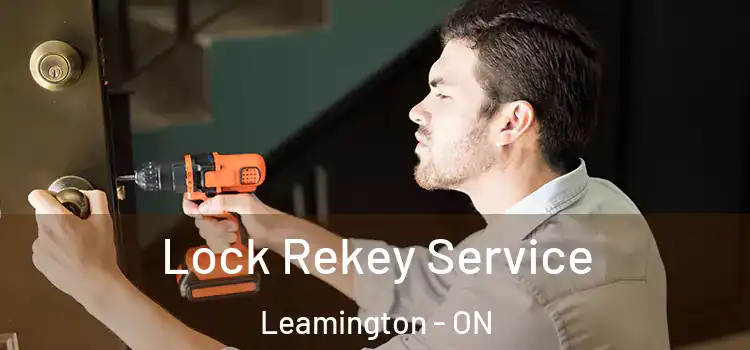 Lock Rekey Service Leamington - ON
