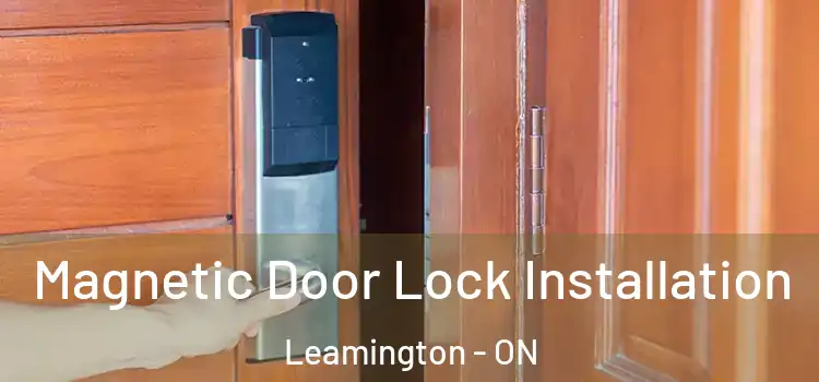  Magnetic Door Lock Installation Leamington - ON