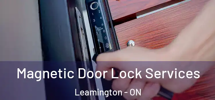  Magnetic Door Lock Services Leamington - ON