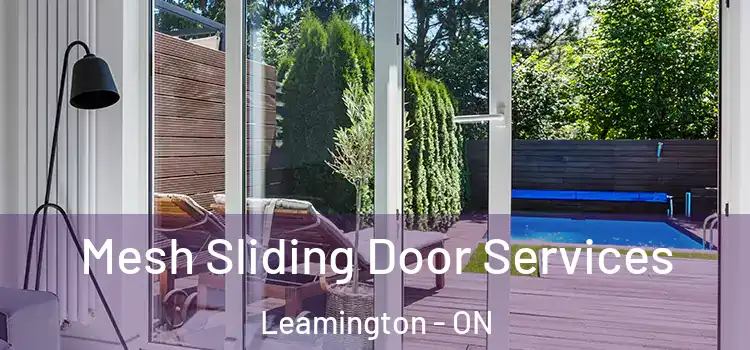 Mesh Sliding Door Services Leamington - ON