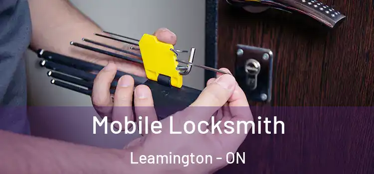 Mobile Locksmith Leamington - ON