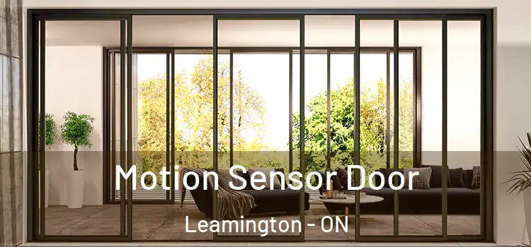 Motion Sensor Door Leamington - ON