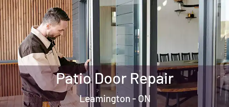 Patio Door Repair Leamington - ON