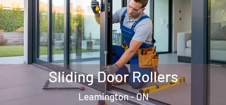 Sliding Door Rollers Leamington - ON