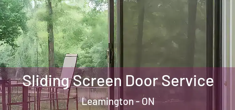Sliding Screen Door Service Leamington - ON