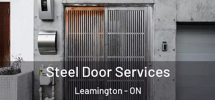 Steel Door Services Leamington - ON
