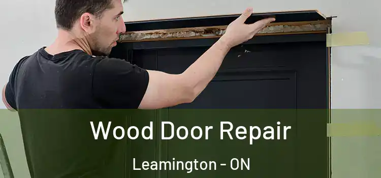 Wood Door Repair Leamington - ON